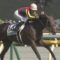【競馬】デムーロ「ドゥラメンテのダービーは他が強くないので自信あった。今回は相手強い」