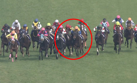 【競馬/桜花賞】戸崎怒りのブロックｗｗｗｗｗｗｗｗ