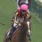 【競馬】お前ら今週はチェッキーノが復活するぞ