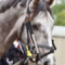 【競馬】ラニの調教後、武豊「うわっ、酷いわ。ダメだった」