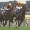 【競馬】モーリス全弟ルーカス２回札幌デビューへ着々。馬主はシルクレーシング