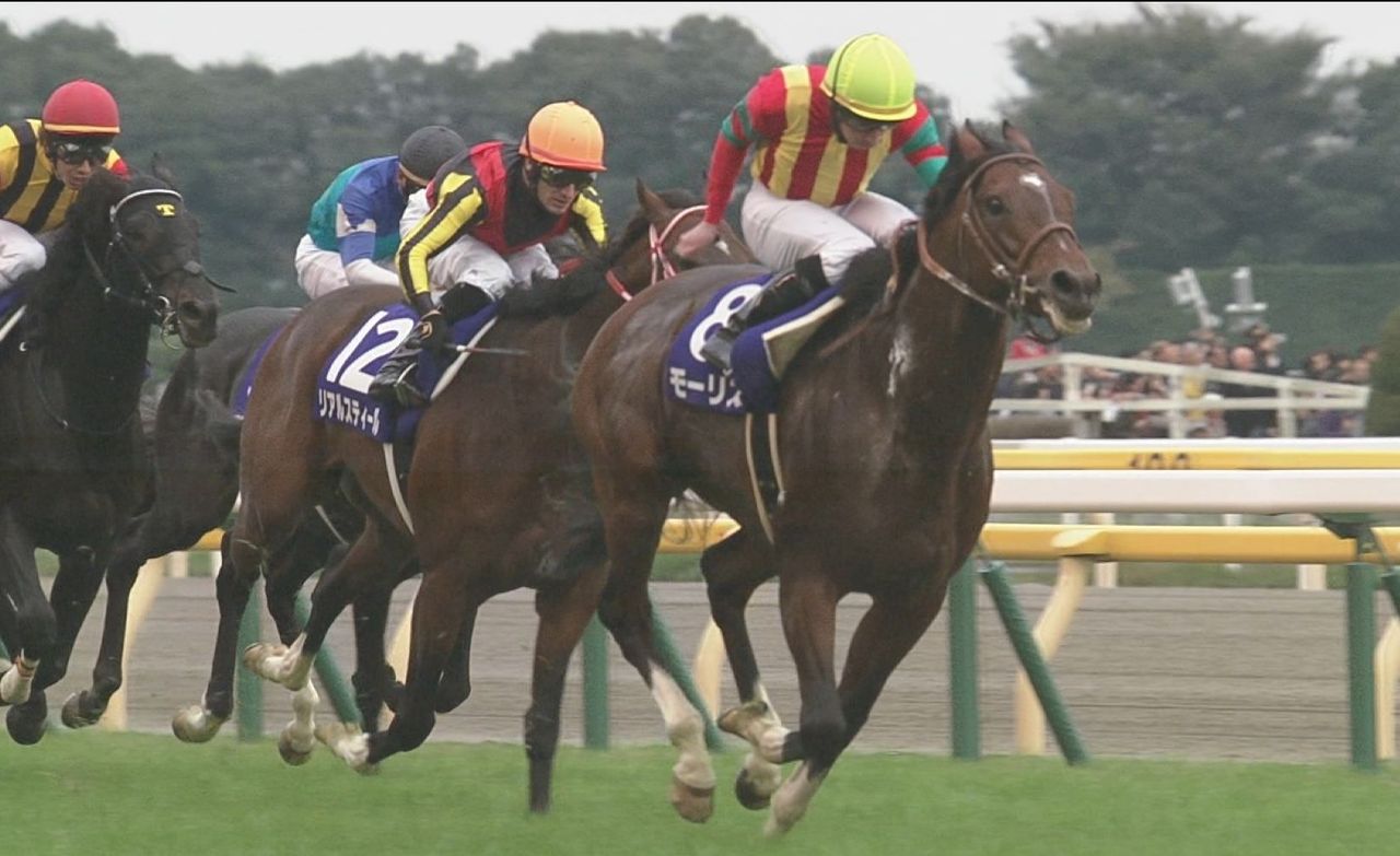 【競馬】スクリーンヒーローなんと種付け料５万円からスタートだった（昨年種付け料７００万）