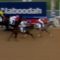 【競馬】ラニ快挙！！米国2冠目のプリークネスS圧勝！！日本馬初のアメリカダートG1制覇！！