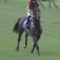 【競馬】社台「ドゥラメンテの為の繁殖牝馬を用意しとかないと後悔する事になるよ」