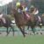 【競馬】ホープフルＳ優勝馬ハートレー再び休養へ…追い切り後鼻出血発症