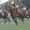 【競馬】ホープフルＳ優勝馬ハートレー再び休養へ…追い切り後鼻出血発症