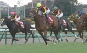 【競馬】ハートレーまだ信じてる奴いる？