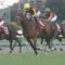 【競馬】ハートレーまだ信じてる奴いる？