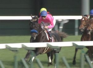 【競馬】ボウマン帰れやボケ