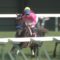 【競馬】ボウマン帰れやボケ