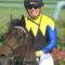 【競馬】今週、川田騎乗なしなんだが