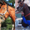 【競馬】ドリームジャーニーって強かったの？