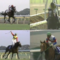 【競馬】９８世代をリアルで見れた奴が羨ましい