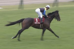 【競馬】ラブリーデイが世代NO1だった時の戦国時代感はすごい