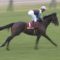 【競馬】ラブリーデイが世代NO1だった時の戦国時代感はすごい