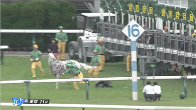 【競馬】白毛にブチ模様で人気のブチコ、2戦続けて競走除外　ゲートを越えて放馬しラチにぶつかり流血…6/4東京11R