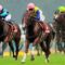 【競馬/ダービー】一周回ってエアスピネル本命にしようと思う奴いない？
