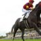 【競馬】エイシンヒカリは凱旋門賞に行くべきか？