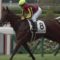 【競馬】ミスエルテ引退　12戦2勝