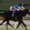 【競馬】アドマイヤミヤビって馬覚えてる人いる？