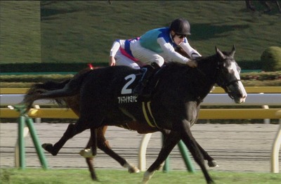 【競馬】ルメール祭ｗｗｗｗｗｗ 東京9R・10Rも連勝でJRA新記録の騎乗機会連続連対達成ｗｗｗｗ