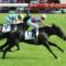 【競馬】競馬界のレジェンド、武豊さんの近年のダービー騎乗馬ｗｗｗｗｗｗｗｗ