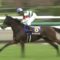 【競馬】戸崎圭太「今年こそはクラシックをとりたい！！」