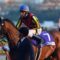 【競馬】あの戸崎圭太に国内王道G1を勝たせるジェンティルドンナが日本競馬史上最強牝馬
