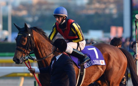 【競馬】何故ジェンティルドンナは全然評価されないのか？