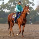 【競馬】大好きだったペルーサ、種牡馬でも頑張れ！