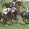 【競馬・新馬戦】札幌でクルミナルの子供が走るぞ！