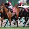 【競馬】ディサイファにフェブラリーS挑戦プランが浮上