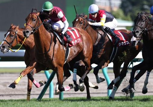 【競馬/AJCC】定年を迎える小島太「最後だし、蛯名に懸けてみたいと思った」