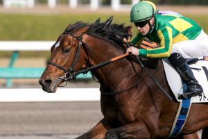 【競馬】サトノダイヤモンド調教凄すぎワロタｗｗｗｗ