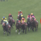 【競馬】去年のマイラーズカップの勝ち馬を覚えてる奴は競馬マニア