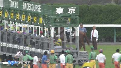【競馬】白毛にブチ模様で人気のブチコ、2戦続けて競走除外　ゲートを越えて放馬しラチにぶつかり流血…6/4東京11R