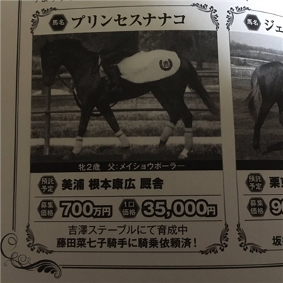 【競馬】プリンセスナナコの一口募集の謳い文句が「藤田菜七子に騎乗依頼済！」てw