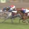 【競馬】ダービー、マウントロブソン三着ある説