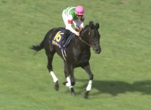 【競馬】角居「リオンディーズの鞍乗を強化したい」