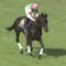 【競馬】マカヒキ→ディープの再来、サトダイ→フサホウの再来、リオン→〇〇の再来