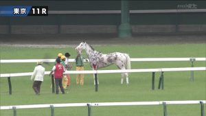 【競馬】音無調教師「ブチコ？　あまり傷口に塩を塗るようなことは言わないでくれ。今後については…」