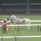 【競馬】音無調教師「ブチコ？　あまり傷口に塩を塗るようなことは言わないでくれ。今後については…」