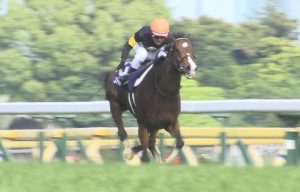 【競馬】戸崎ってめっちゃ上手いよな 【競馬】戸崎ってめっちゃ上手いよな