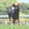 【競馬】戸崎ってめっちゃ上手いよな