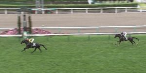 【競馬】土曜札幌11レース ３歳馬ウムブルフが何故か１番人気に支持されてる件