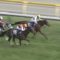 【競馬/ヴィクトリアマイル】浜中のゴール前ヤケクソの肩ムチ連発ワラタｗｗｗｗｗｗ