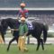 【競馬】キズナを改めて再評価しようぜ