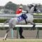 【競馬】セレクトセール2020・・サトノダイヤモンド産駒が素晴らしい