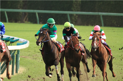 【競馬/スプリングS】松岡正海「藤田菜七子が下手くそなだけだろｗ」
