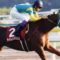 【競馬】毎日王冠の思い出